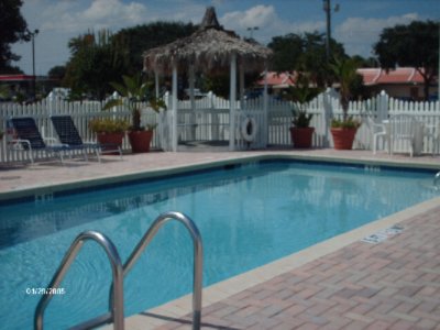 Pool For Relaxing