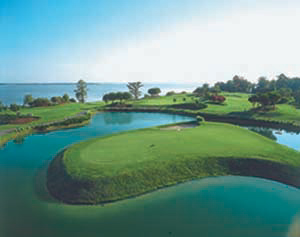 Bray Links