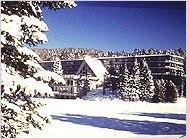 Snowlake Lodge - 
