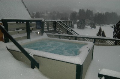 Snowlake Lodge - 