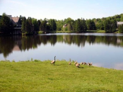 Snowlake Lodge - 
