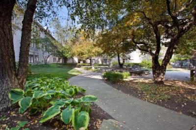 Relaxing Paths To Courtyard