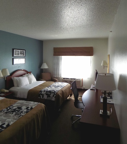 Sleep Inn & Suites - Room W/ King Bed