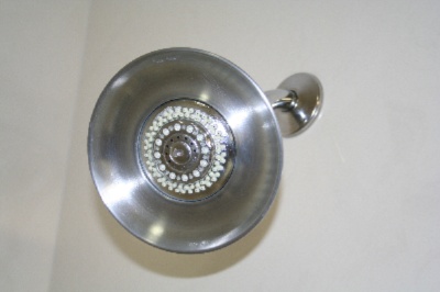 Holiday Inn Exxpress Hotel & Suite - Showerhead