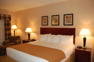 Holiday Inn Express Airport - 