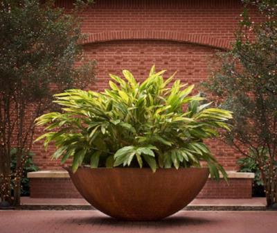 Sugar Land Marriott Town Square - Courtyard