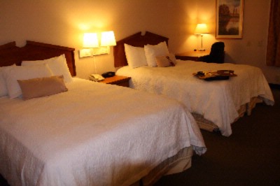 Comfort Suites - 