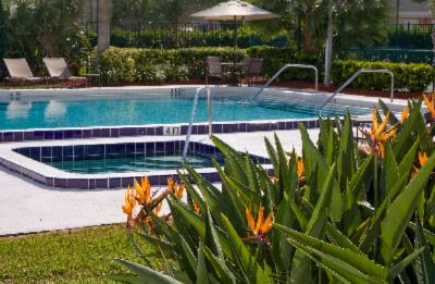 Hilton Melbourne Rialto Place - Enjoy A Swim In Our All-season Pool & Jacuzzi