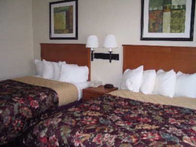 Best Western Bridgeview - Room With 2 Queen Beds