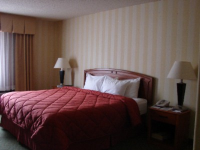 Comfort Inn Airport - Beautiful Newly Remodeled Sleeping Rooms