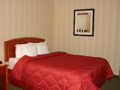 Comfort Inn Airport - 