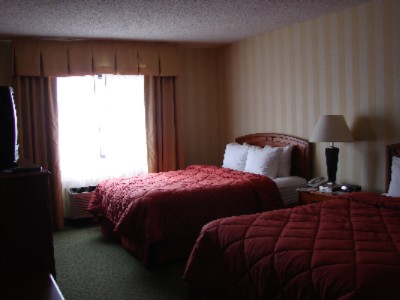 Comfort Inn Airport - 