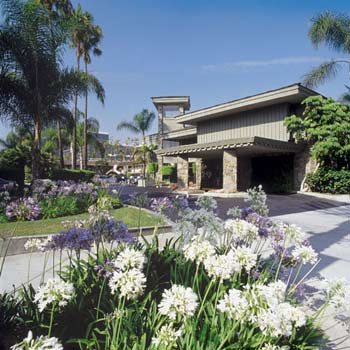 Jolly Roger Hotel - Walking Distance To Disneyland!