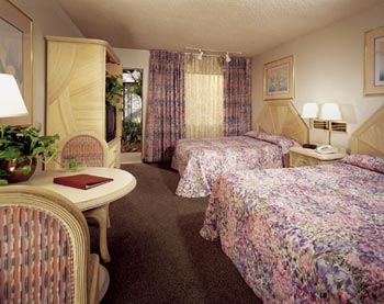 Jolly Roger Hotel - Comfortable Deluxe Rooms Sleep Up To Six