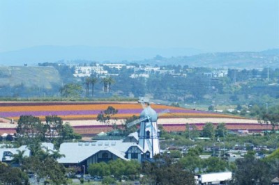 Holiday Inn Carlsbad by The Sea - 