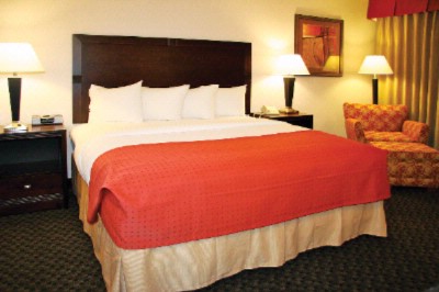 Holiday Inn Carlsbad by The Sea - 