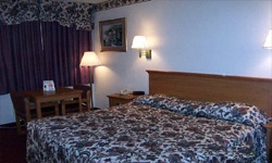 King Size Bed