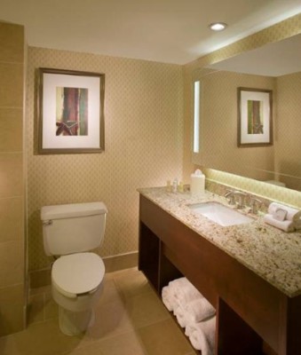 Crowne Plaza Houston North Greenspoint - Guest Bathroom