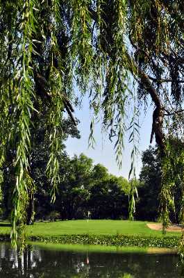 Tom Fazio Designed Golf Course