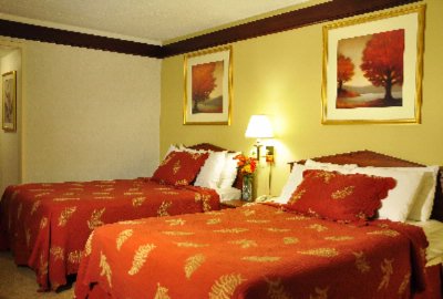 Standard King Room