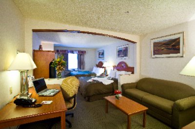 Comfort Suites Woodfield Chicago Schaumburg - Hotel Room Seating Area