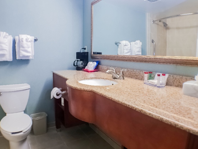 Holiday Inn Baymeadows - 
