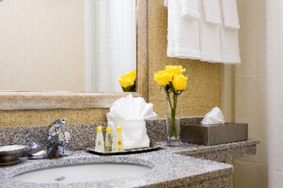 Holiday Inn Express Downtown Brooklyn (butler) - 