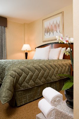 Holiday Inn Express Downtown Brooklyn (butler) - 
