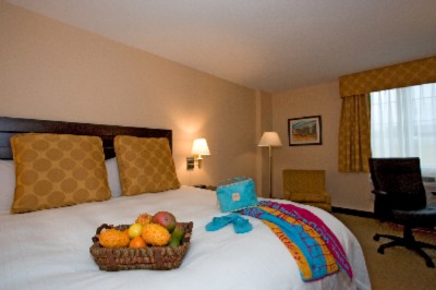 La Quinta Inn & Suites Conference Center - King Guestroom