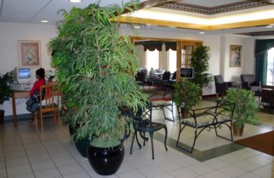 Red Roof Inn - Lobby Picture