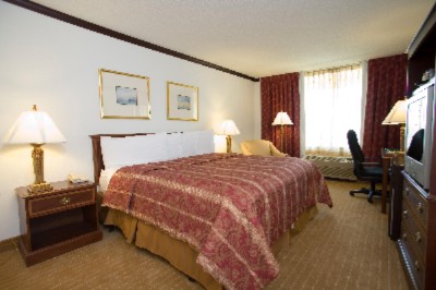 Holiday Inn Chicago Oakbrook - King Guest Room