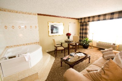 Holiday Inn Chicago Oakbrook - Jacuzzi Suite