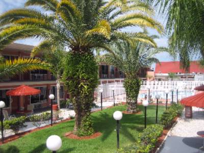 Beatiful Pool
