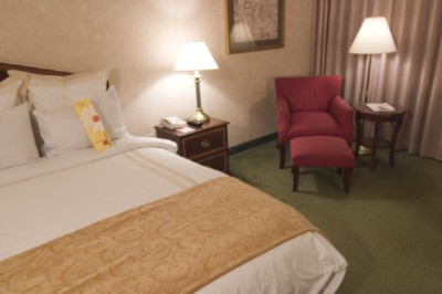 Dfw Airport Marriott South - Deluxe Guestroom