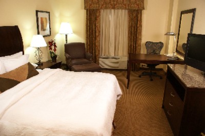 King Evolution Guest Rooms
