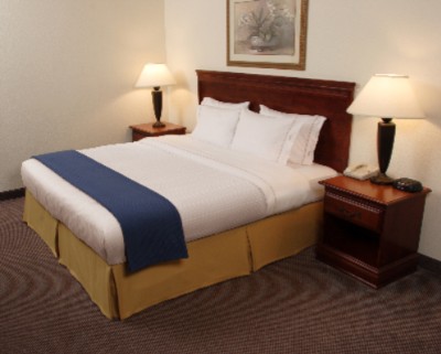 Holiday Inn Express Richmond Airport - Guest Room