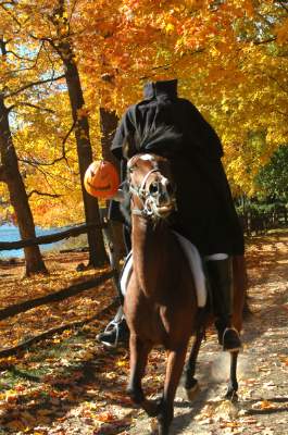 Courtyard Poughkeepsie - Seasonal Events Include 