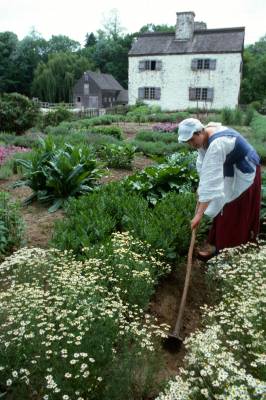 Courtyard Poughkeepsie - Living History At Nearby Philipsburgh Manor