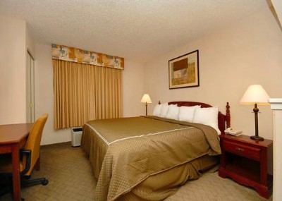 Comfort Suites - King Suite