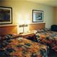Holiday Inn Express - Guest Room