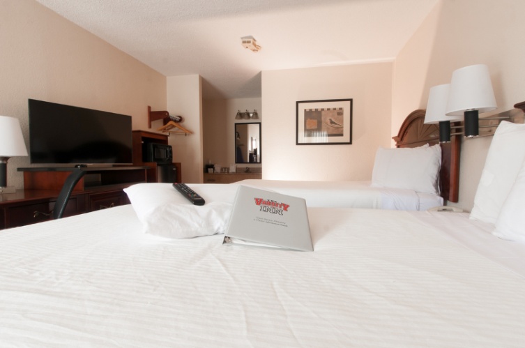 Double Bed Room