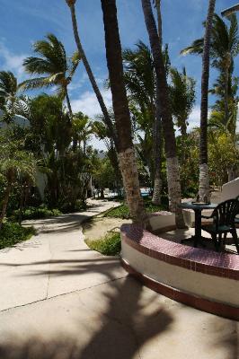 Hotel Mar De Cortez of Cabo San Lucas - Grounds At Garden View Patio