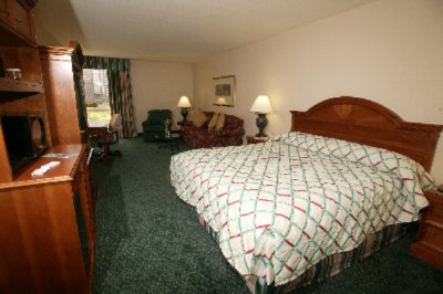 Hilton Garden Inn Dallas Market Center - Guest Room