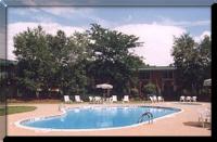 Pool And Courtyard