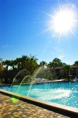 Pool Shot