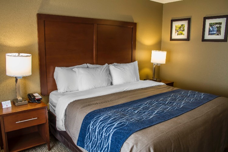 Roseburg Comfort Inn - 2 Queen Bed Room