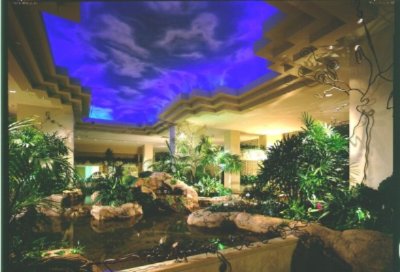 Moody Gardens Hotel - Hotel Lobby