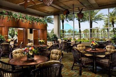 Moody Gardens Hotel - Game Room