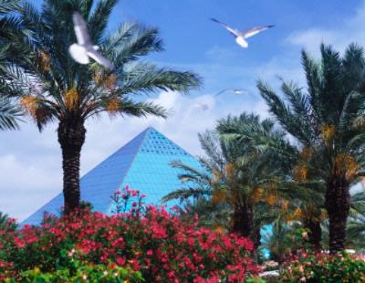 Moody Gardens Hotel - Aquarium Pyramid