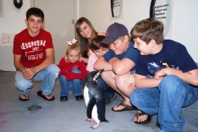 Moody Gardens Hotel - Meet The Penguin!